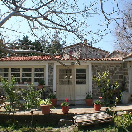 فندق Arcadia Eressos المظهر الخارجي الصورة