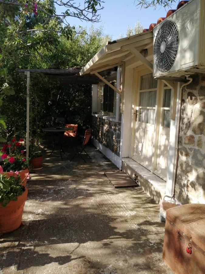 فندق Arcadia Eressos المظهر الخارجي الصورة
