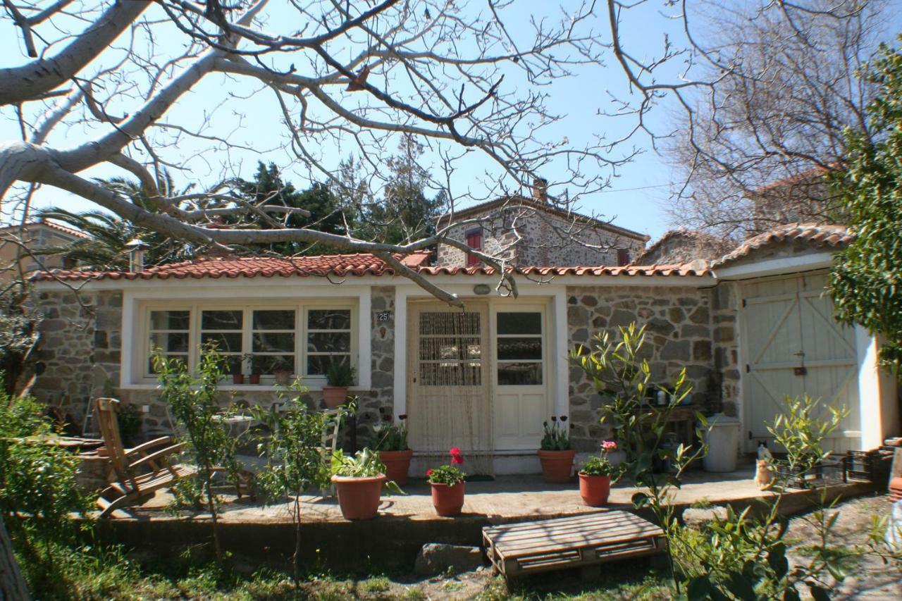 فندق Arcadia Eressos المظهر الخارجي الصورة